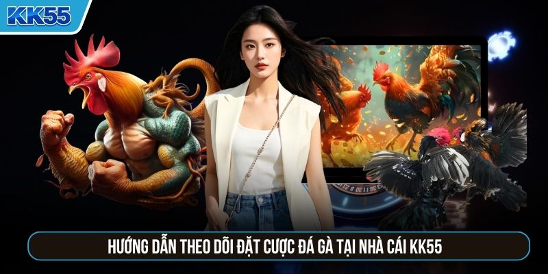 Hướng dẫn theo dõi đặt cược đá gà tại nhà cái KK55